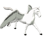 OMG A pegasus! It looks like realz!